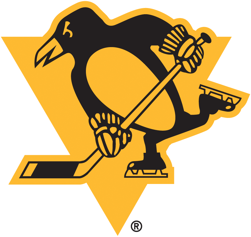 Pittsburgh Penguins 2019 Special Event Logo DIY iron on transfer (heat transfer)
